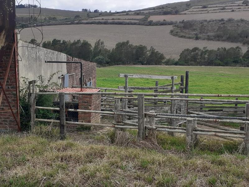 0 Bedroom Property for Sale in Albertinia Western Cape